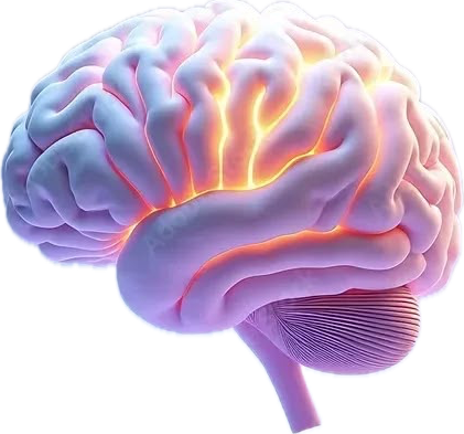 Brain Scan